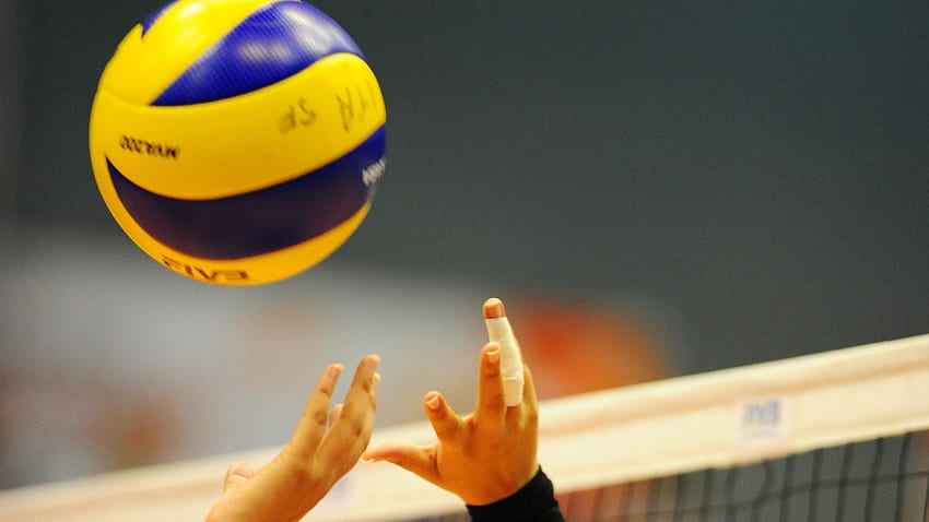 volly3